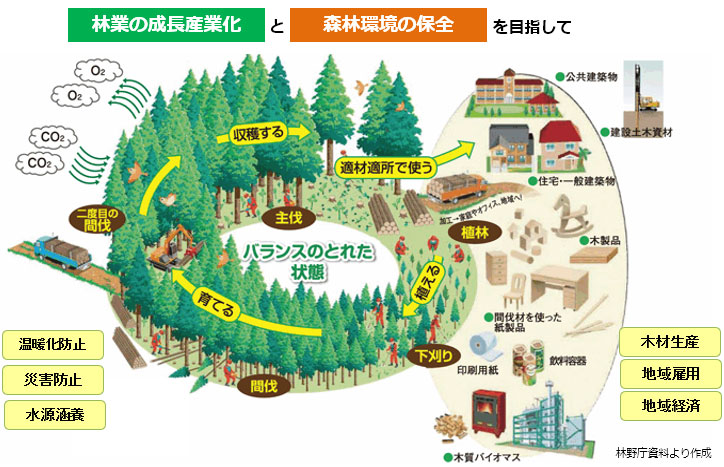 林業の成長産業化と森林環境の保全を目指して