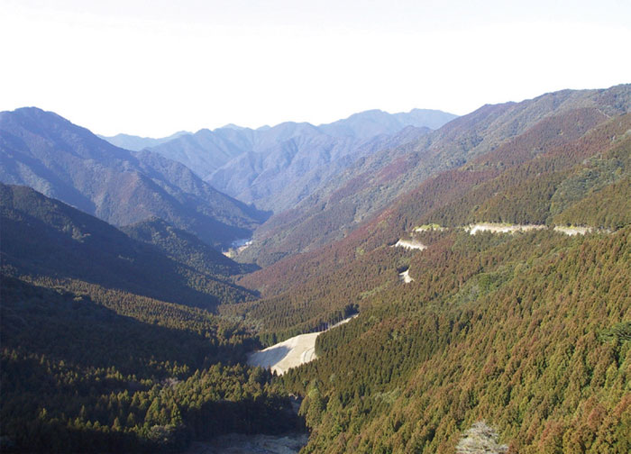 徳島森林づくり推進機構有林（徳島県美波町）